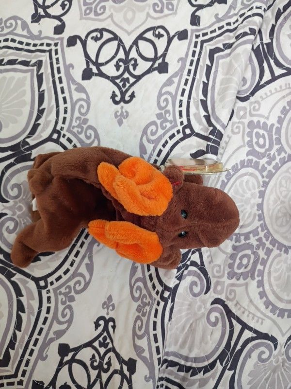 Beanie Babies