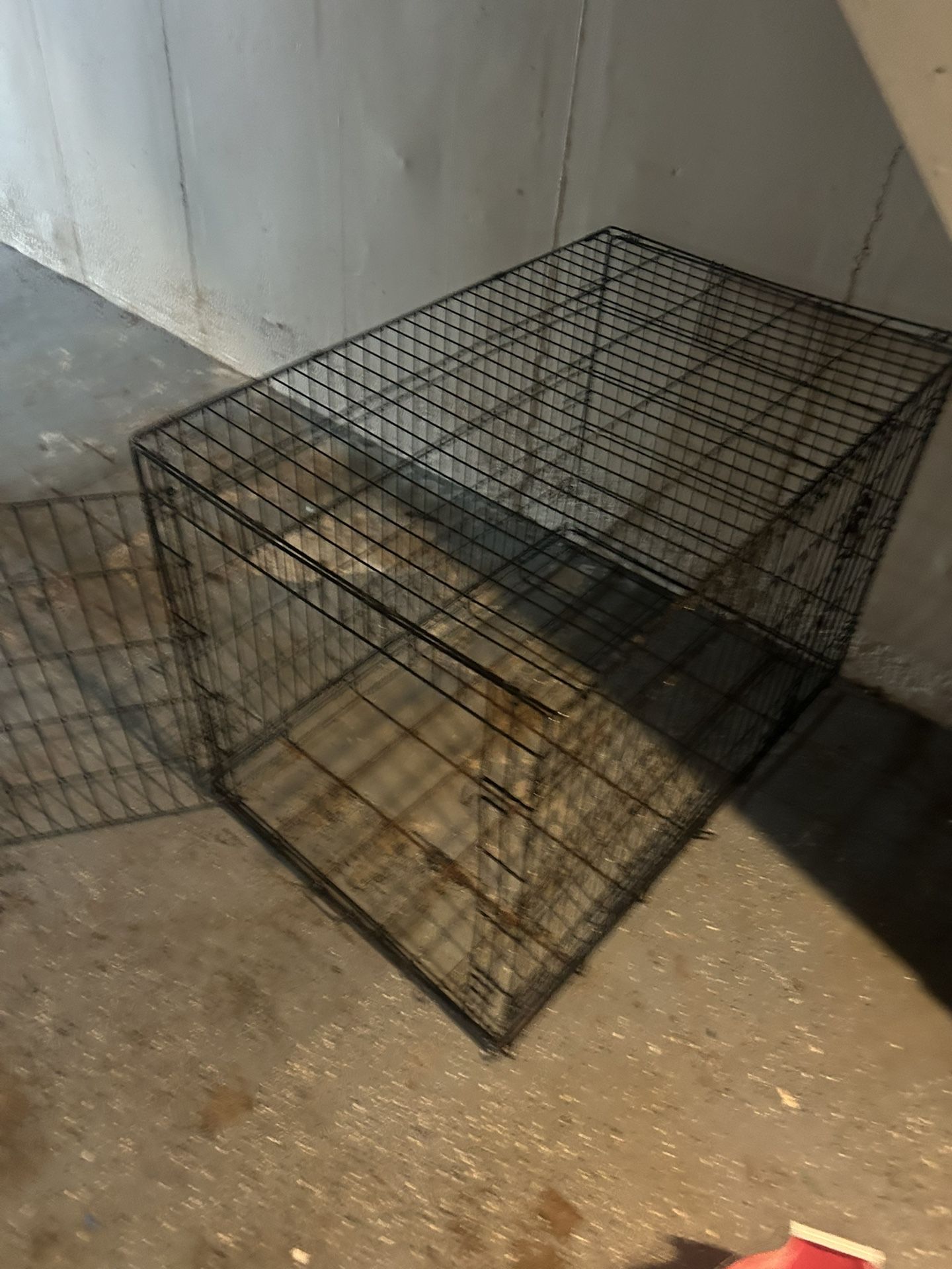  Dog Cage
