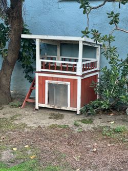 Outdoor Cat House