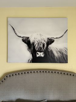 Cow Print Picture