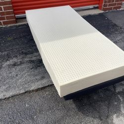 9in Foam Latex Twin Bed