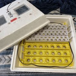 Hovabator incubator with egg turners