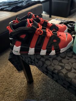 Nike Scotty Pippen “I got next” the real deal 9.5