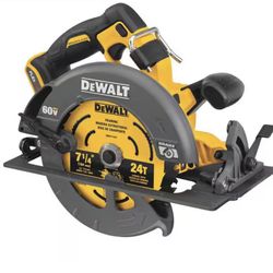 Circular Saw