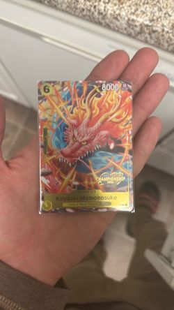One piece championship