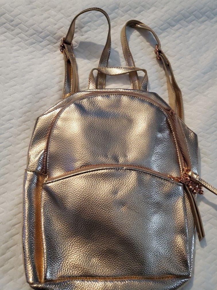  Purse Backpack
