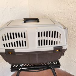 Dog And Cat Kennel