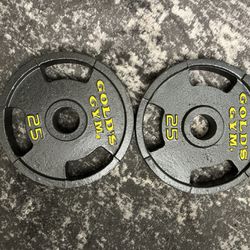 Golds Gym Weights