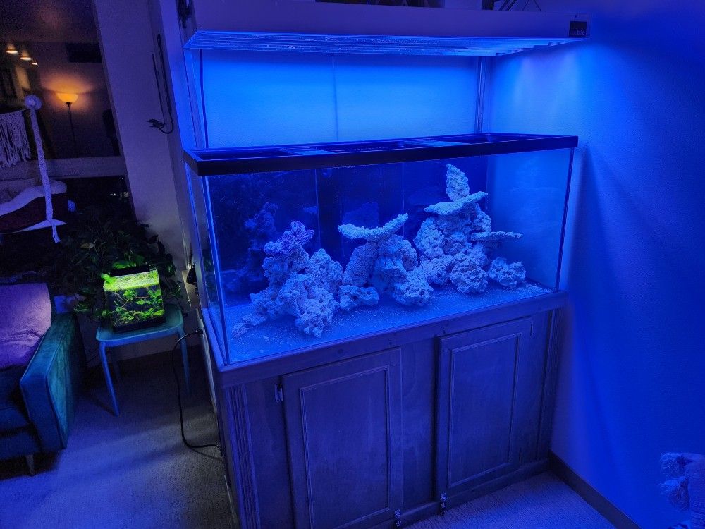 75g Reef Tank Aquarium