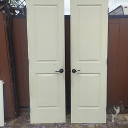 Solid Doors  24"Each 48"× 84"hight 