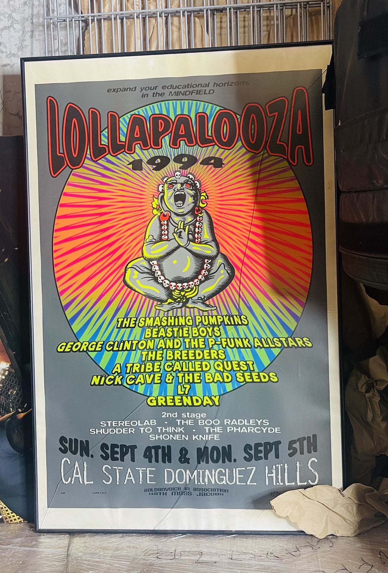 MINT & SIGNED Beastie Boys Green Day 1994 Lollapalooza TAZ Poster