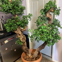 5’ X 4’    Large Indoor  Silk Bonsai Tree 