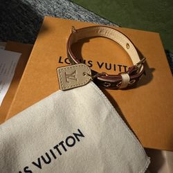 LV pet Collar