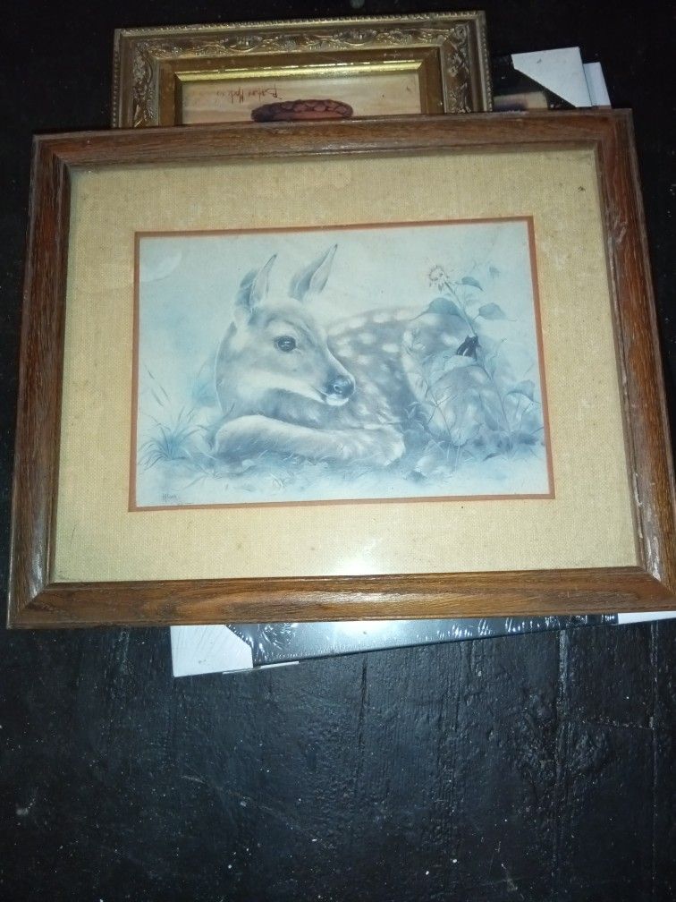 16 X 13 Deer Picture