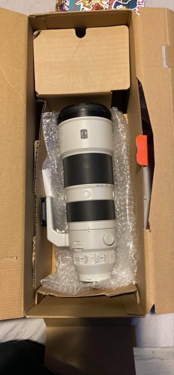Sony 200-600mm lens G
MASTER
