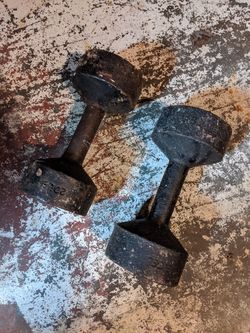 Two 20lbs Dumbbells
