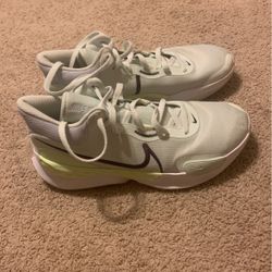 Basketball Shows