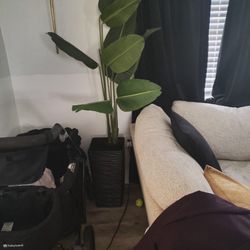 Artificial Plants With Vase