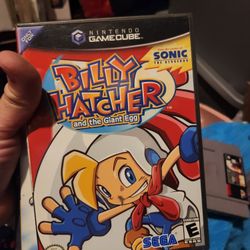 Nintendo Game Cube Game 