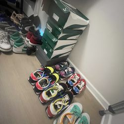 Pumas 