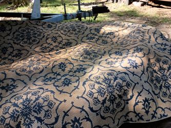 9 1/2 Ft Long X7x1/2 Wide Rug 