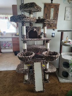 Cat  Tower