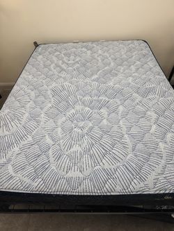 Serta Perfect Sleeper Nurture Night 12” Firm Queen Mattress