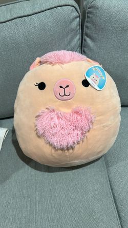 New Squishmallow with tag