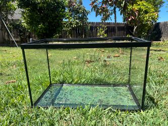 10 galllon glass tank