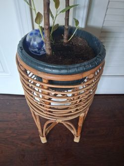 Plant Stand