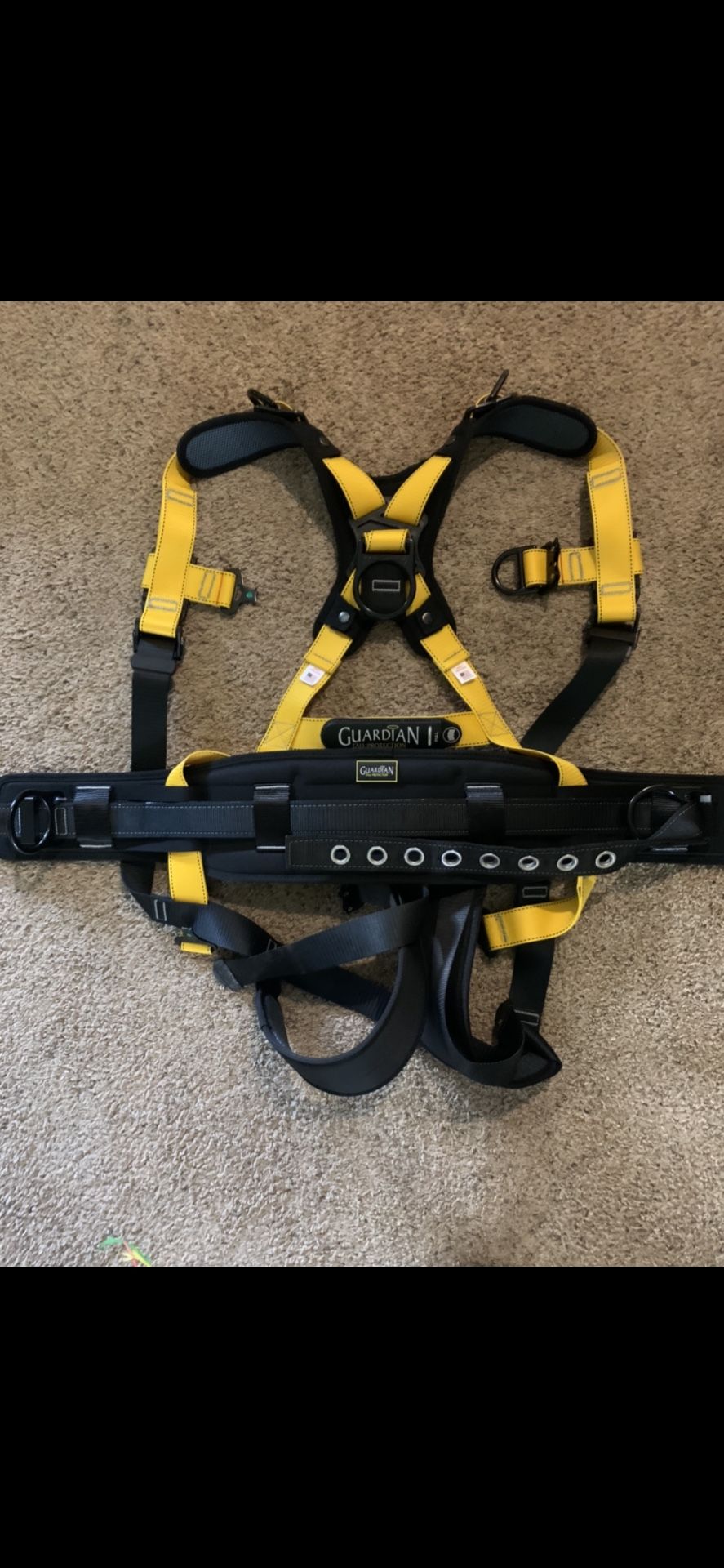 Guardian Harness