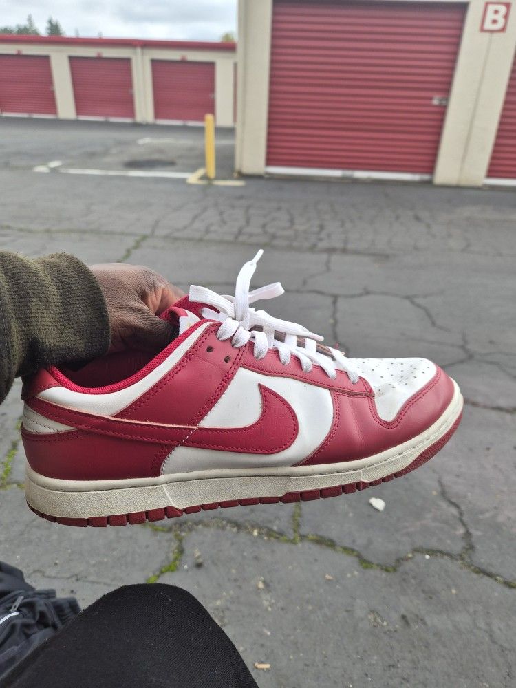 Nike Dunk Sneakers Low Tops