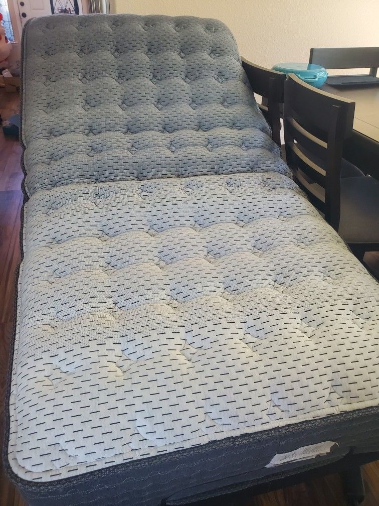 Adjustable Electric Twin XL Bed Never Used!