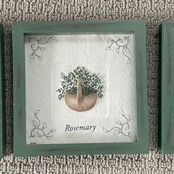 Set Of 3 Framed Pictures For kitchen With Spice Naming