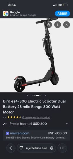 Birth electric scooter