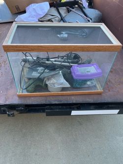 Reptile tank