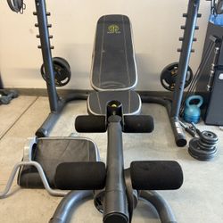 Golds Gym Olympic Weight/squat Bench Approximately 180lbs In Weights