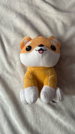 Corgi dog