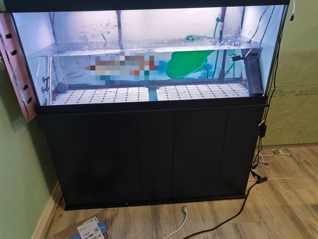 75 Gallon Aquarium Tank