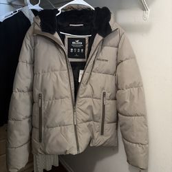 Hollister Jacket Mens Large 