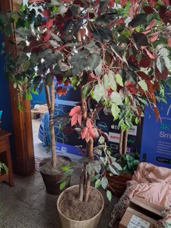 Talk artificial  tree
