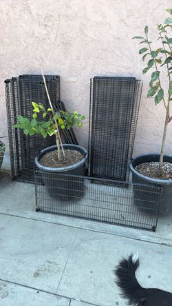 Free shelves with poles.