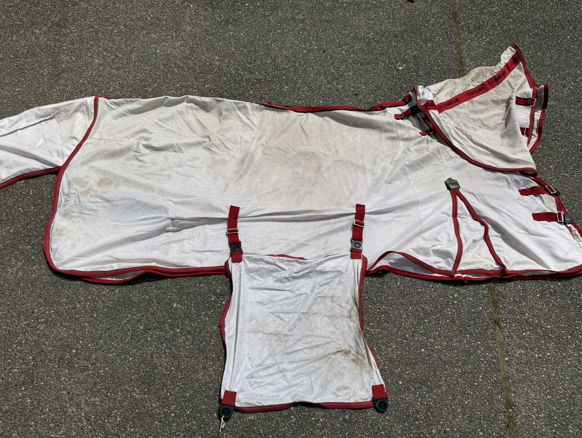 Tuffrider Horse Fly Sheet