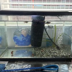 5 gallon fish tank