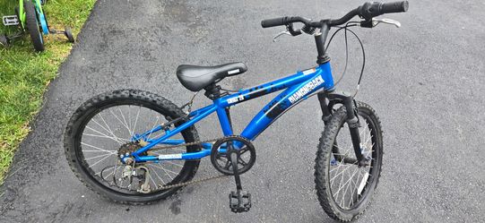20" Bike