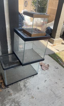 Glass Tanks And Critter Hides