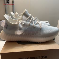 Yeezy boost 350 V2