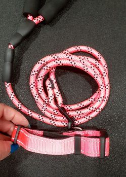 Collar & Leash Set