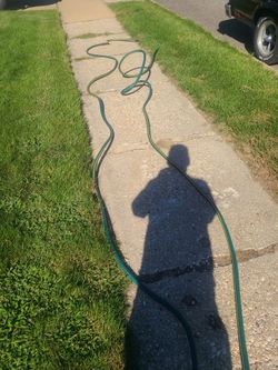 Garden hose 50 ft.