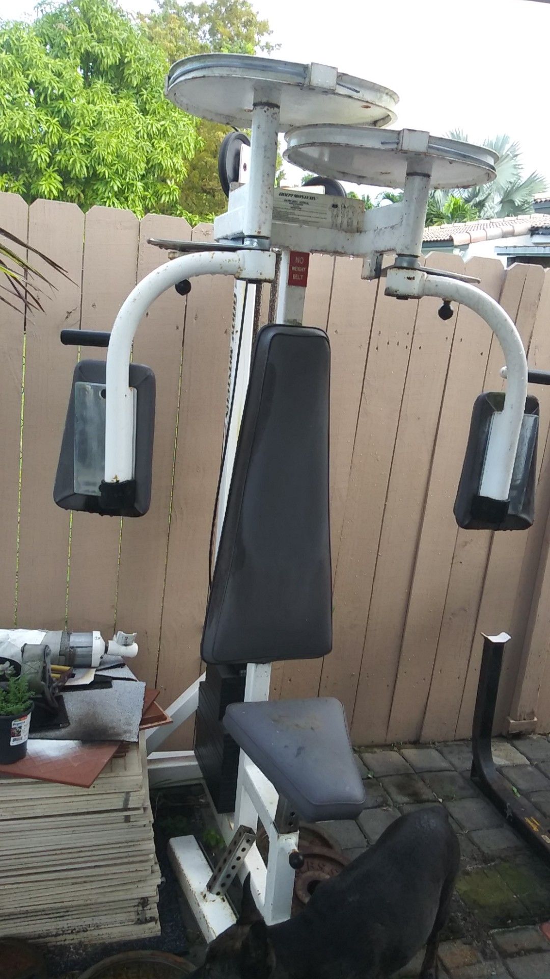 Weights